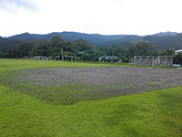 現場